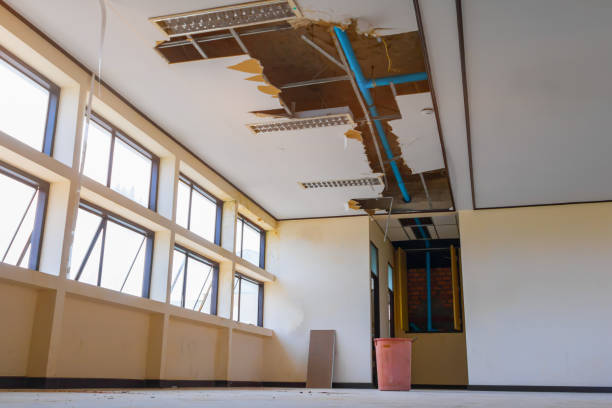 Best Ceiling water damage repair  in Peachtree Corners, GA