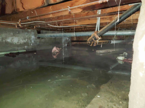 Best 24-hour water damage restoration  in Peachtree Corners, GA