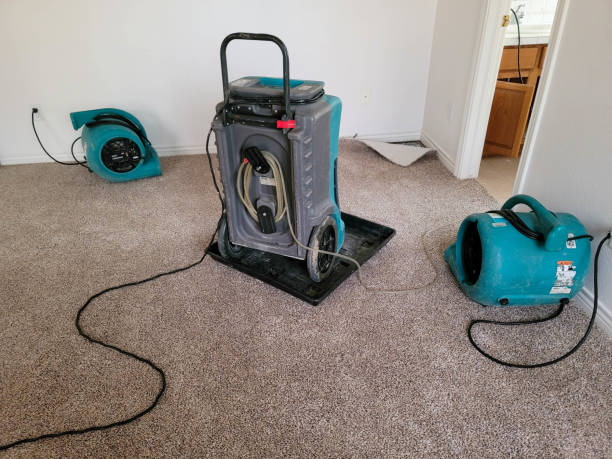Best Water damage restoration company  in Peachtree Corners, GA