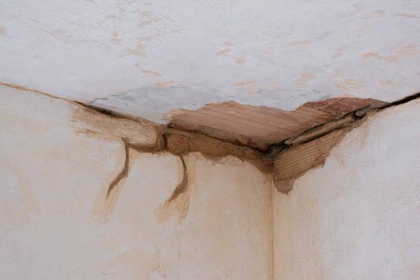 Best Mold removal after water damage  in Peachtree Corners, GA