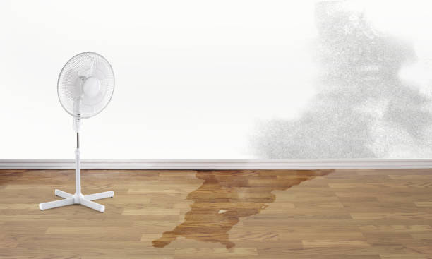 Best Water damage restoration company  in Peachtree Corners, GA