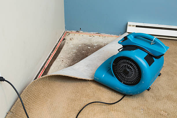Best Sewage cleanup and water damage restoration  in Peachtree Corners, GA